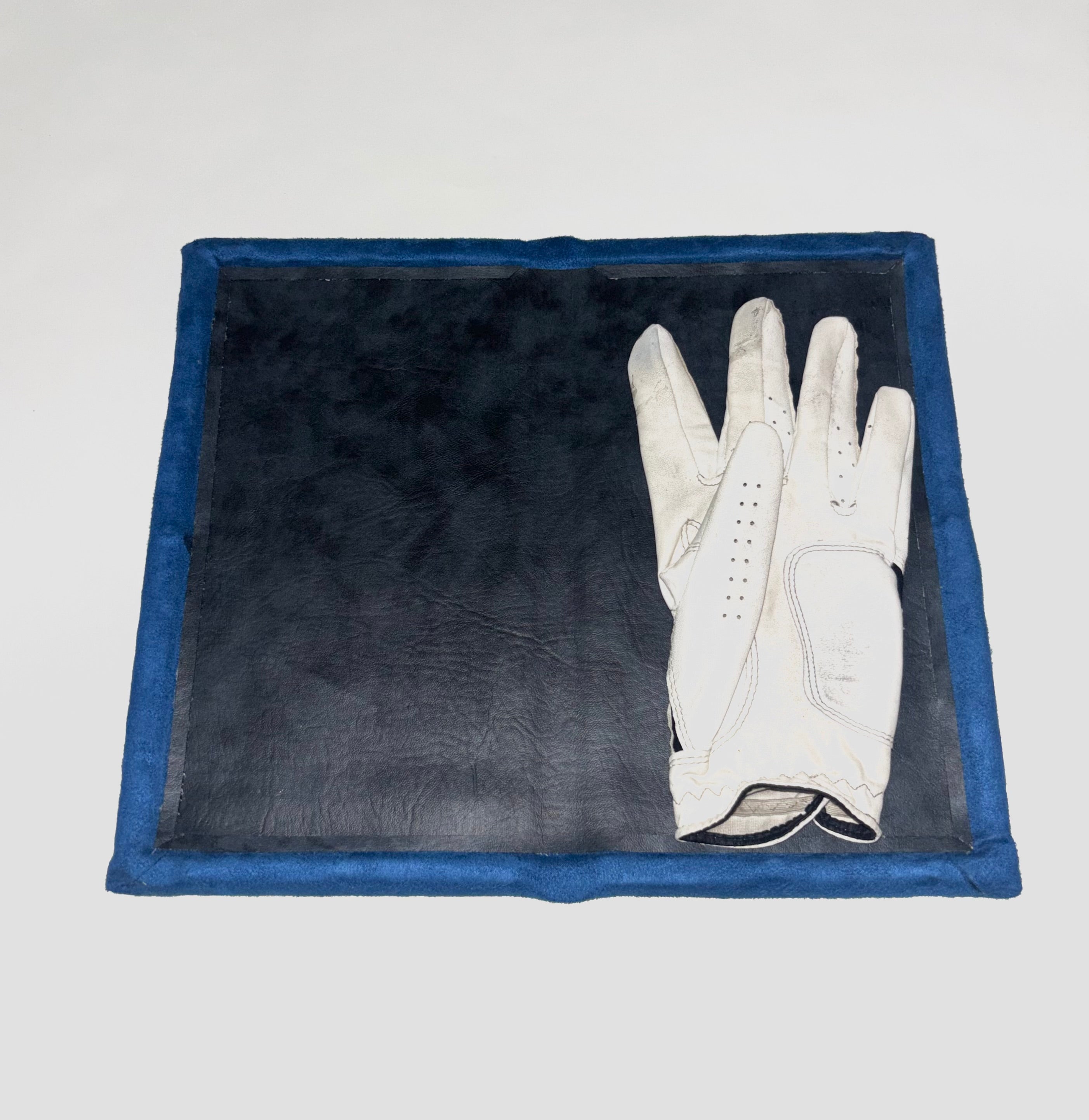 StayFlat performance glove case